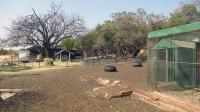 Backyard of property in Heidelberg - GP