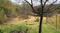 Backyard of property in Heidelberg - GP