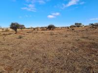 Smallholding for Sale for sale in Polokwane