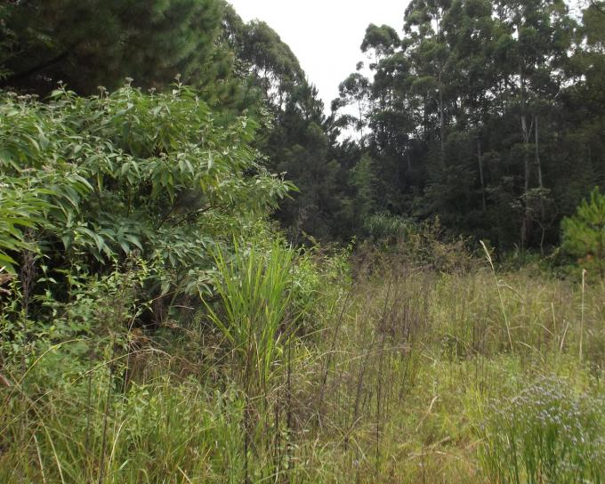 Land for Sale For Sale in Hillcrest KZN MR402721 MyRoo