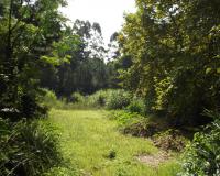 Land for Sale for sale in Hillcrest - KZN