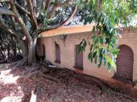 Backyard of property in Glencoe