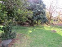 Backyard of property in Glencoe