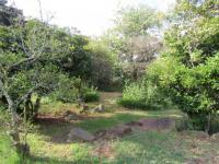 Backyard of property in Glencoe