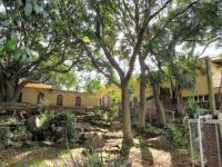 Backyard of property in Glencoe
