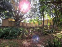 Backyard of property in Glencoe