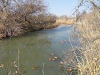  of property in Modimolle (Nylstroom)