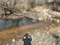  of property in Modimolle (Nylstroom)