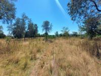 Backyard of property in Pretoria Rural