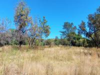 Backyard of property in Pretoria Rural