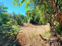 Backyard of property in Pretoria Rural