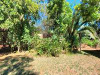 Backyard of property in Pretoria Rural