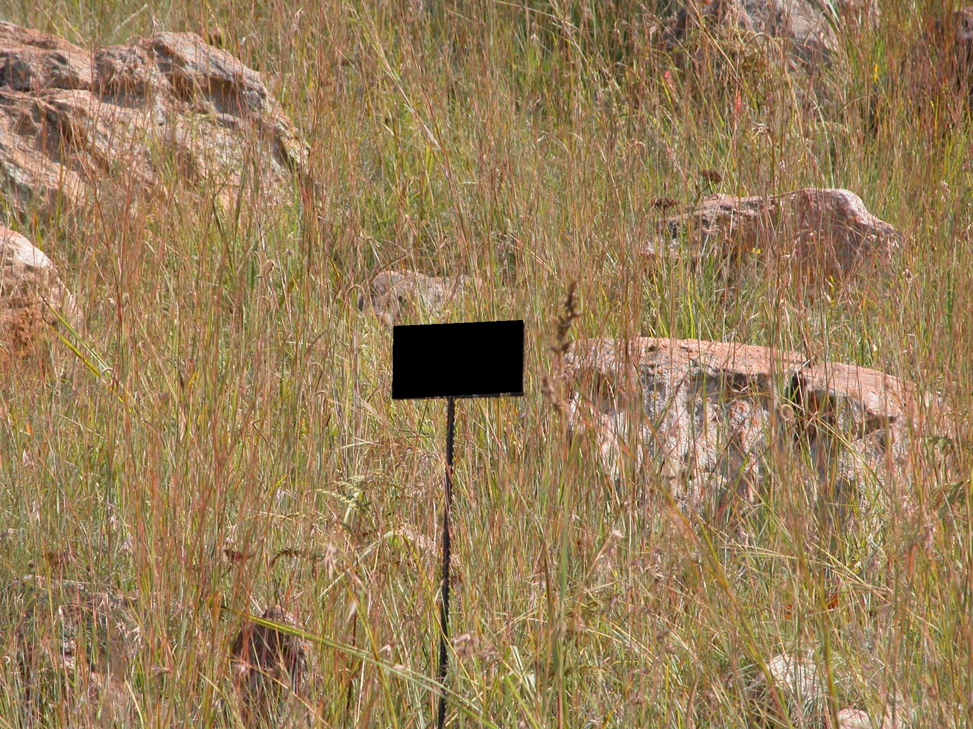 Front View of property in Amsterdam