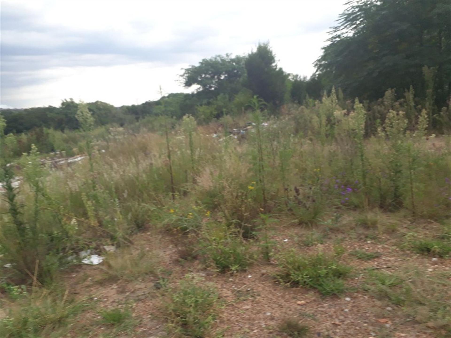 Front View of property in Olievenhoutbos
