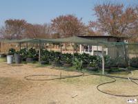  of property in Pyramid