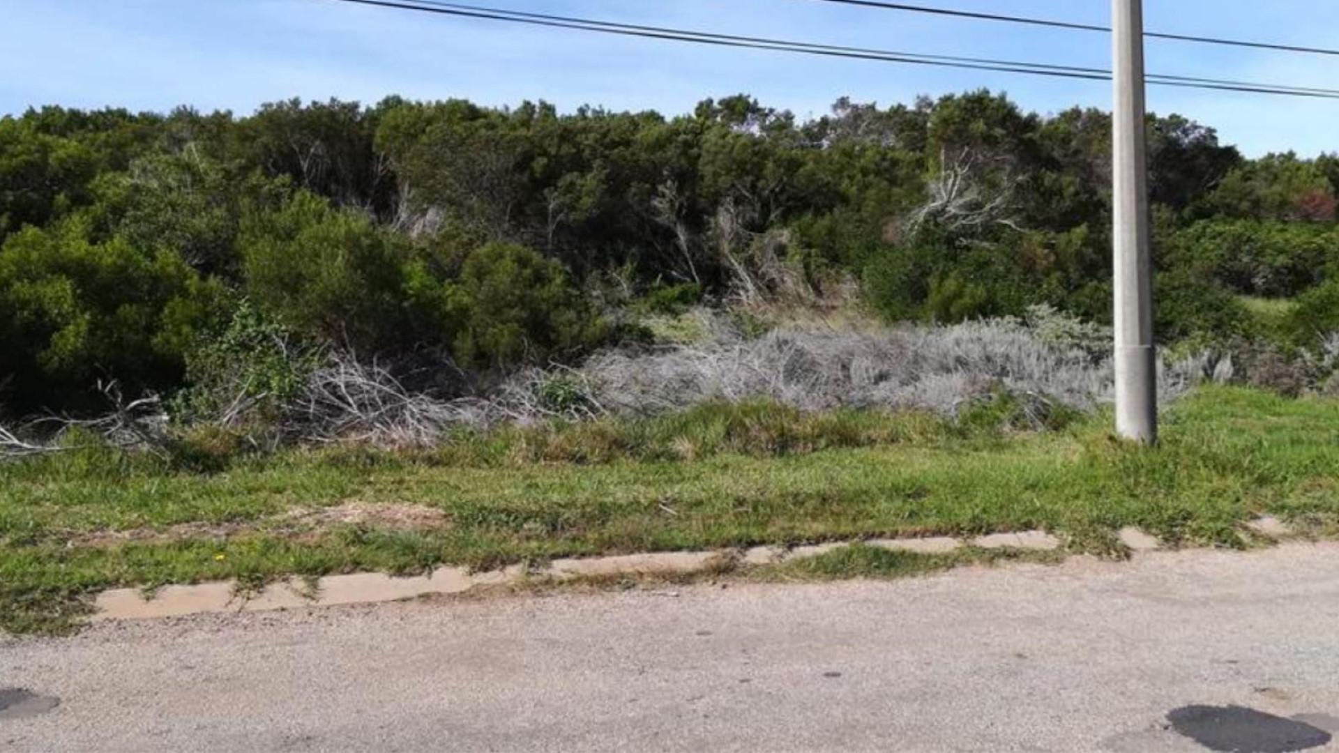 Front View of property in Paradise Beach