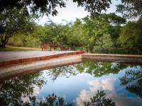  of property in Bela-Bela (Warmbad)