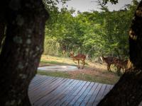  of property in Bela-Bela (Warmbad)