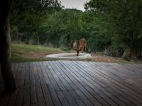  of property in Bela-Bela (Warmbad)