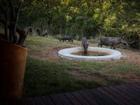  of property in Bela-Bela (Warmbad)