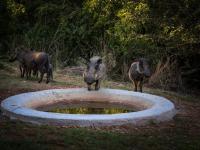  of property in Bela-Bela (Warmbad)
