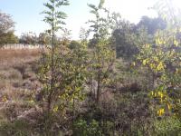  of property in Henley-on-Klip