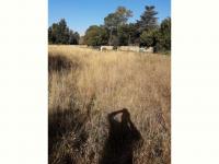  of property in Henley-on-Klip