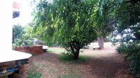 Backyard of property in Benoni