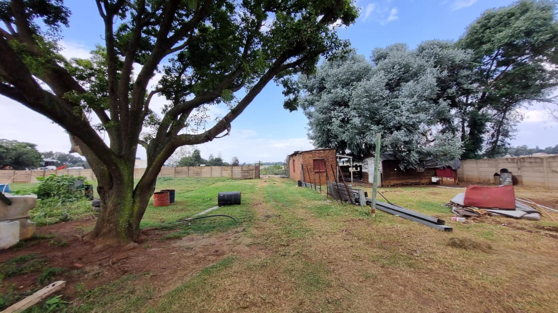 Backyard of property in Delmas