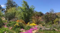 Backyard of property in Barrydale