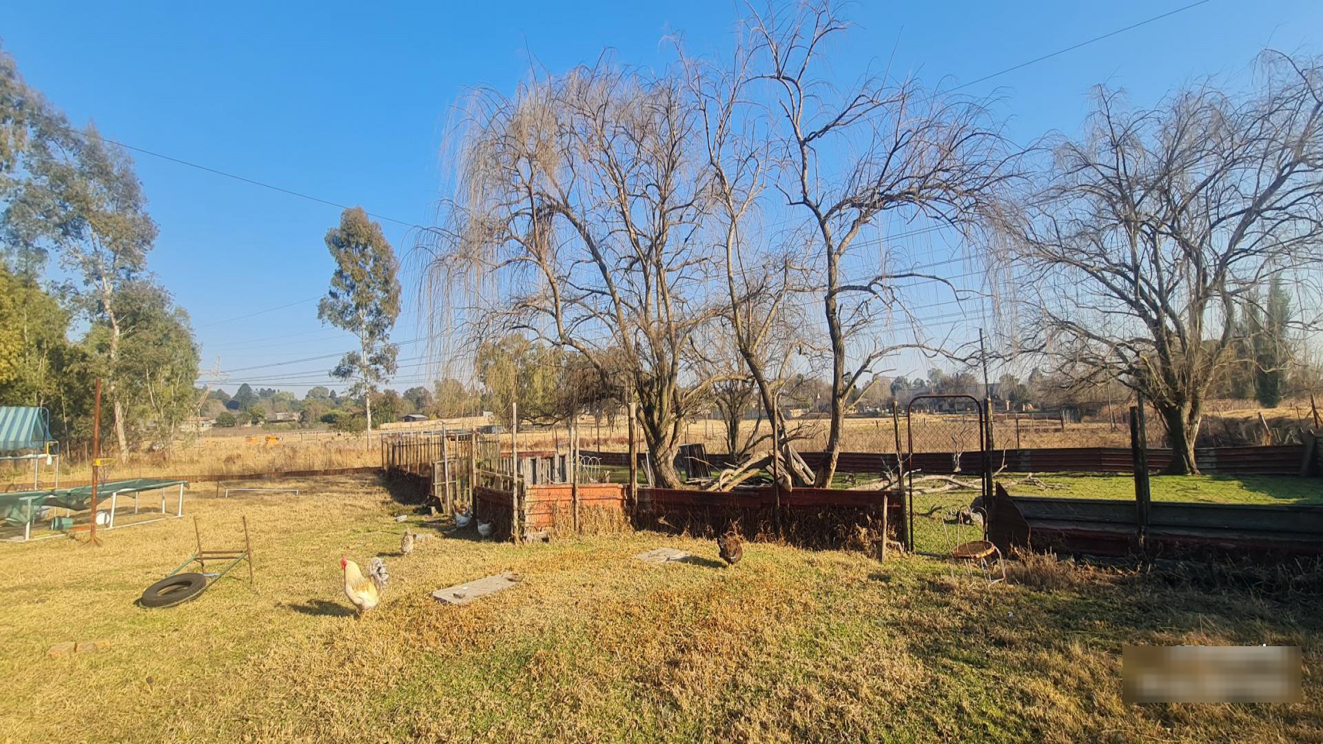 Backyard of property in Benoni