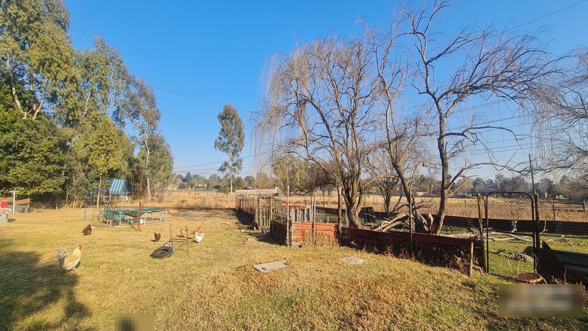 Backyard of property in Benoni