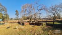 Backyard of property in Benoni