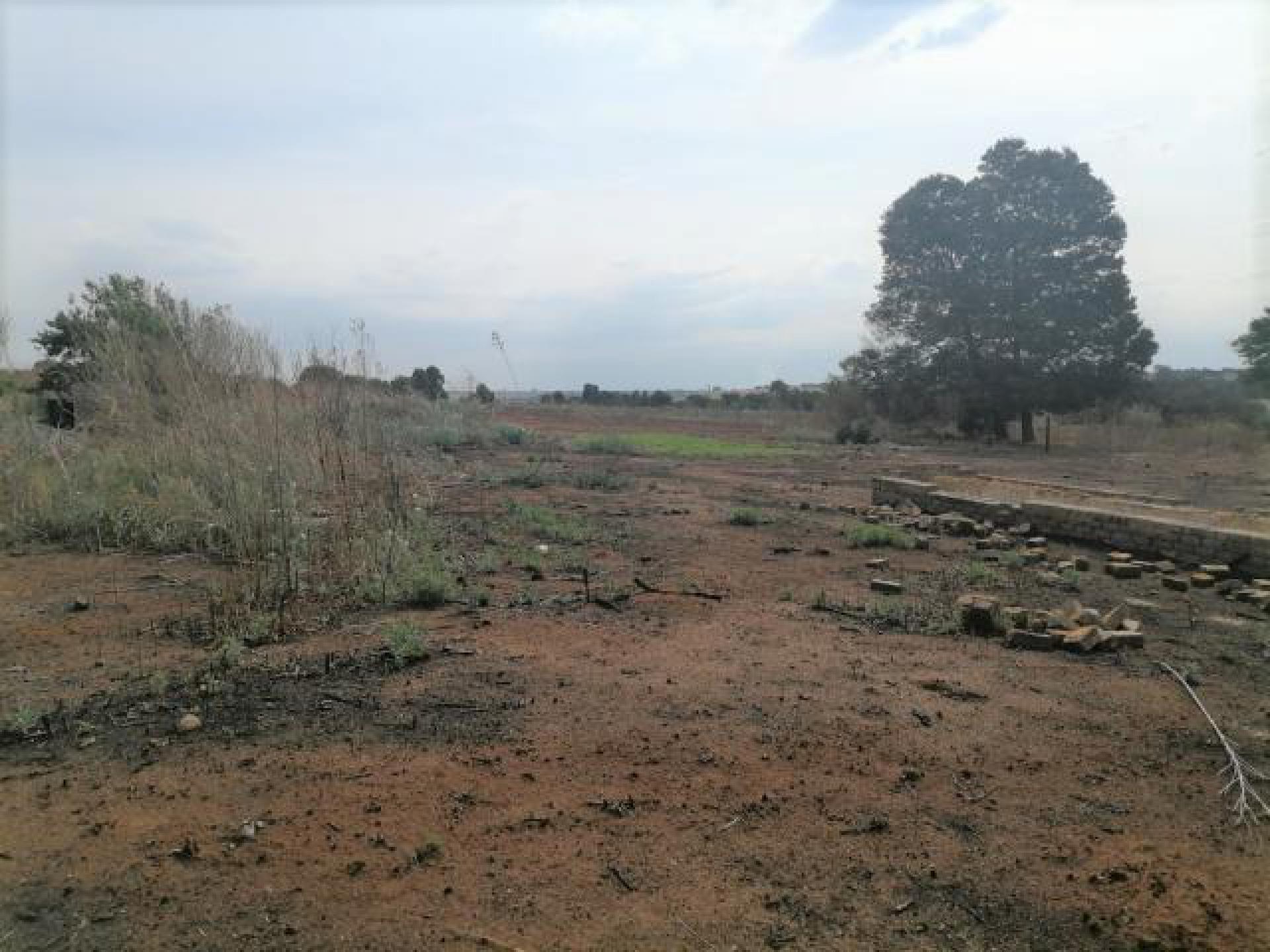 Standard Bank EasySell Smallholding for Sale in Hillside AH