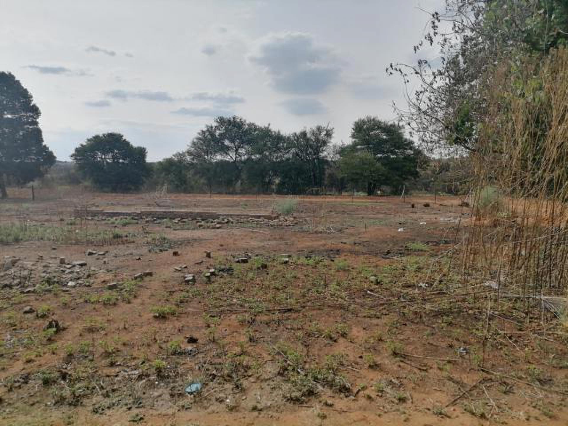 Standard Bank EasySell Smallholding for Sale in Hillside AH