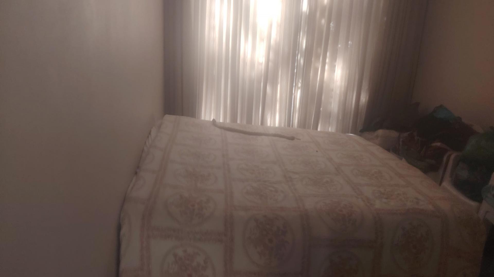 Bed Room 3 of property in Florida Park