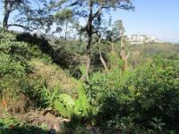  of property in Cowies Hill 