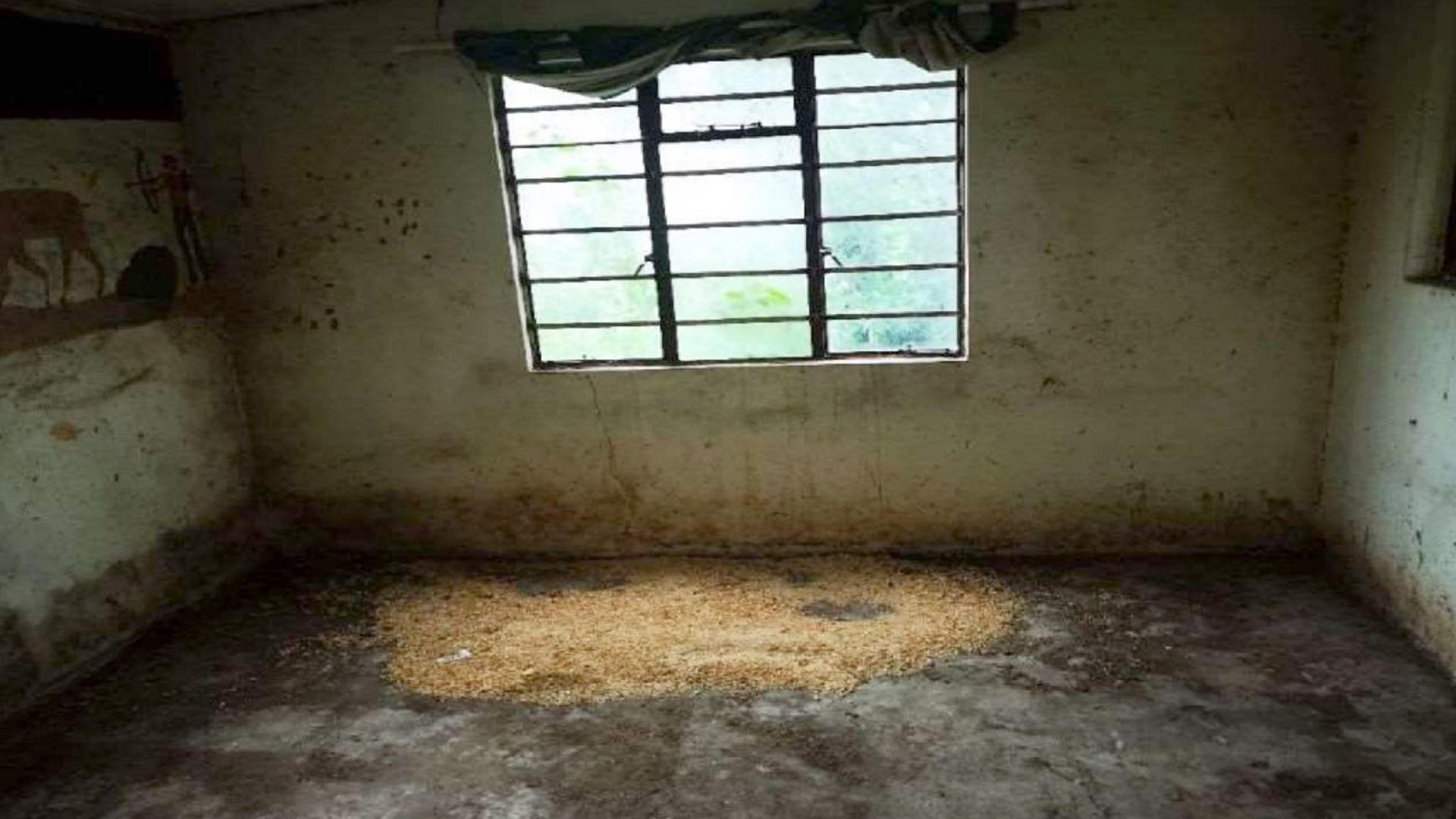 Garage of property in Gwaba