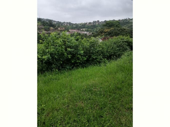 Land for Sale For Sale in Nagina - MR429732