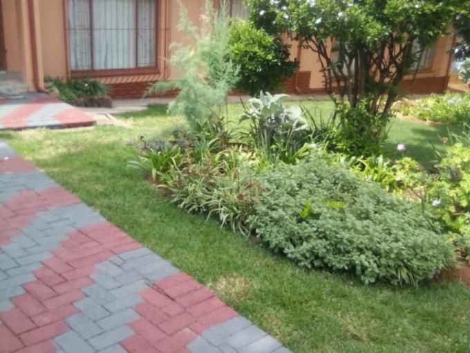3 Bedroom House to Rent in Safarituine - Property to rent - MR432231