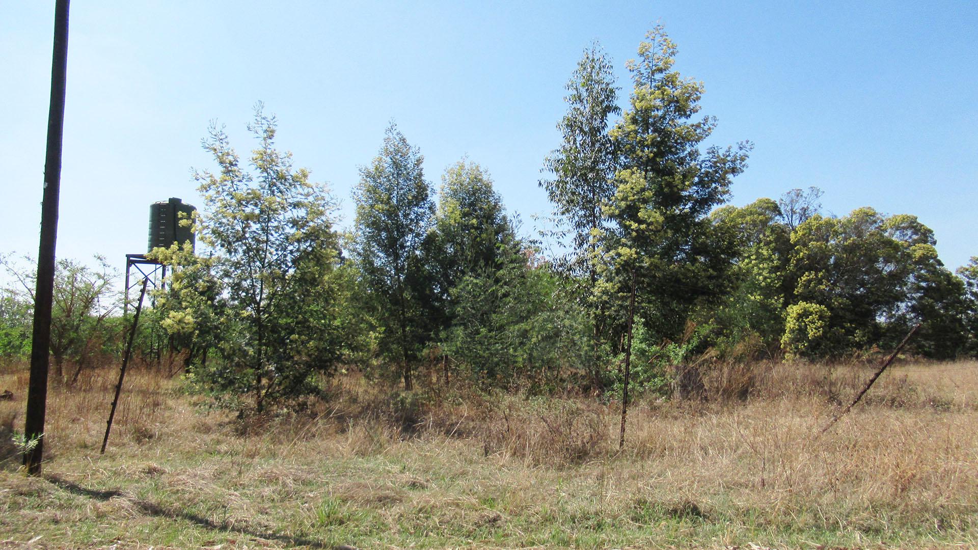 Front View of property in Marabeth AH