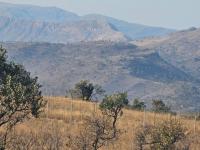Land for Sale for sale in Cashan