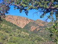  of property in Cashan