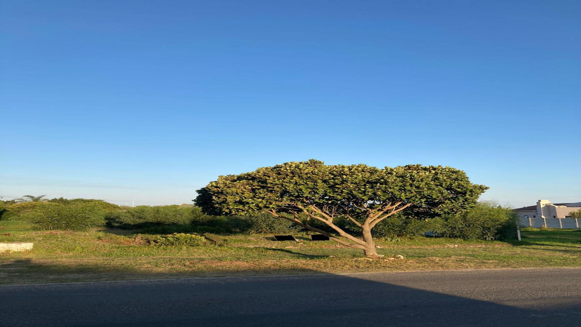 Front View of property in Hermanus