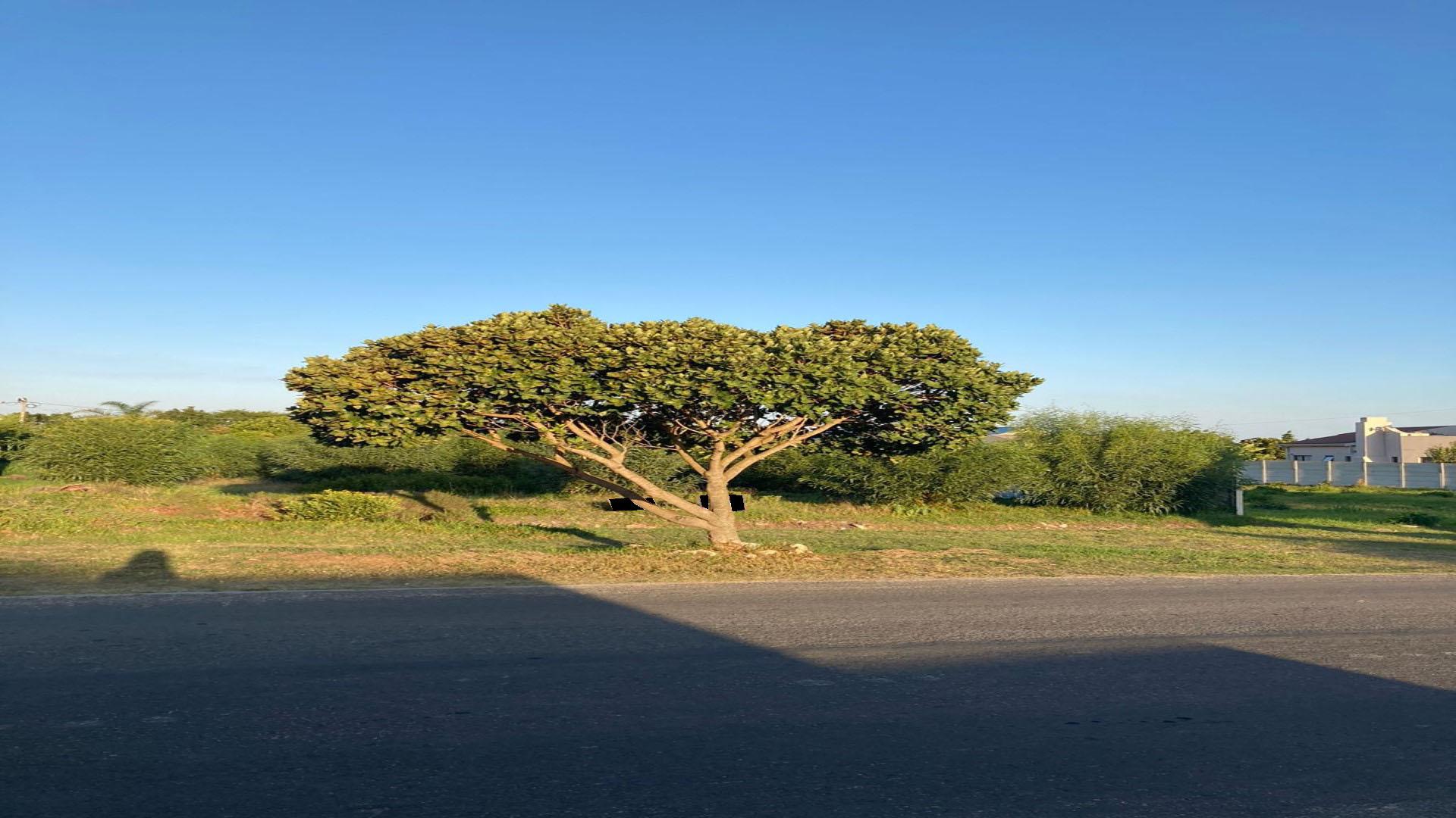 Front View of property in Hermanus