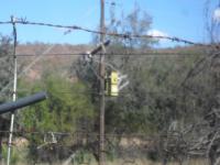 Backyard of property in Lephalale (Ellisras)