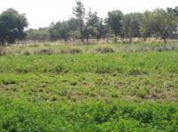  of property in Pretoria Rural