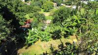 Backyard of property in Park Hill