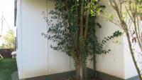 Garden of property in Grootvlei