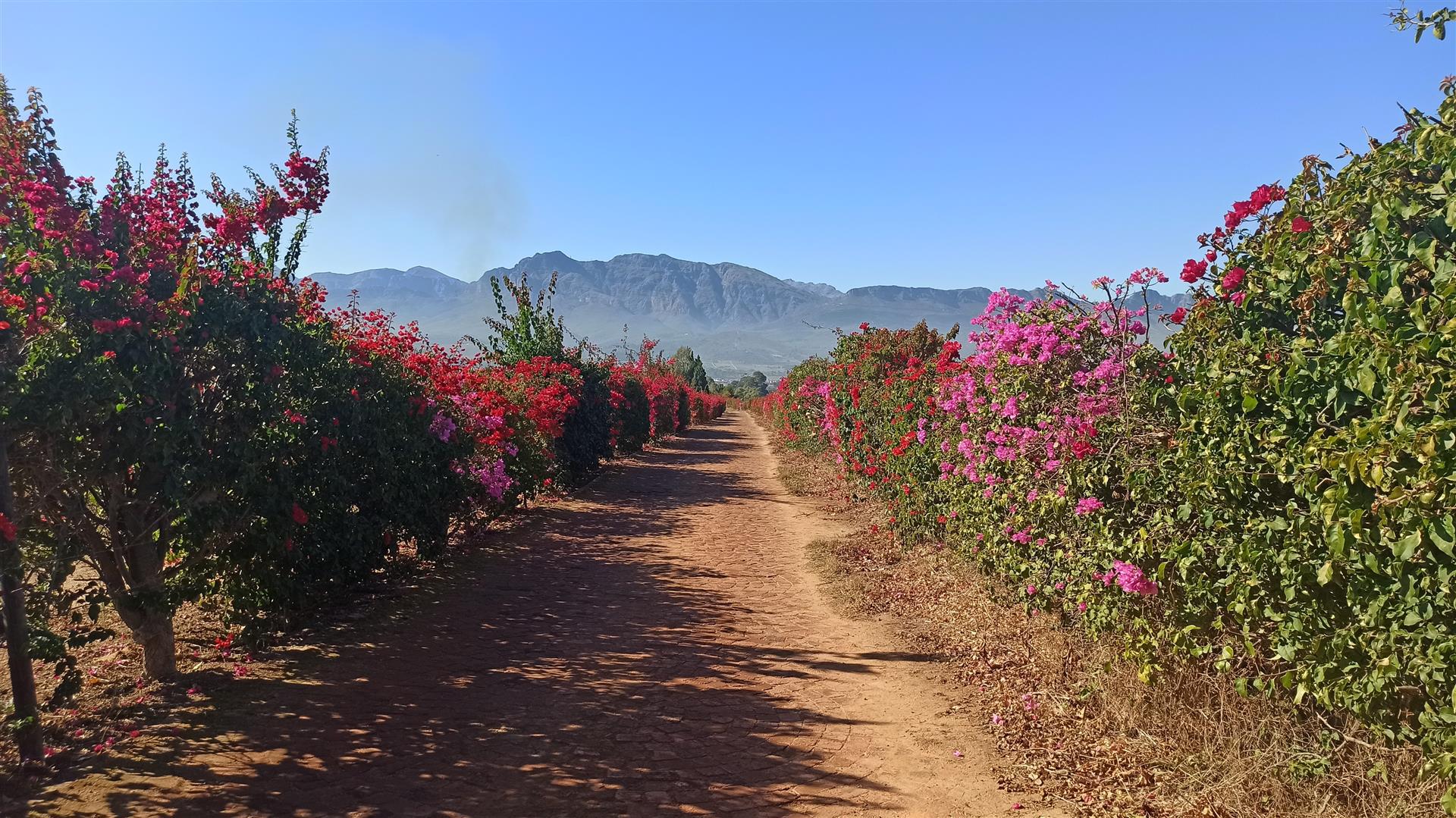 Spaces of property in Paarl